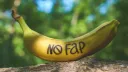 Le Royaume du NoFap banner