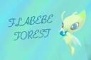 || 𝐅𝐥𝐚𝐛𝐞𝐛𝐞 𝐅𝐨𝐫𝐞𝐬𝐭 Banner