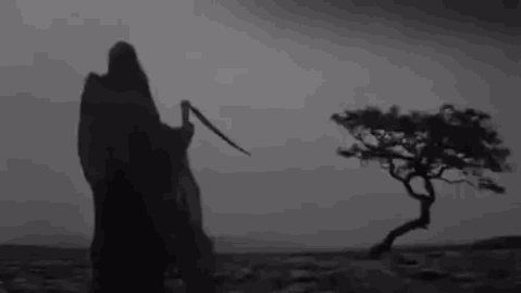 THE CHAOS CULT banner