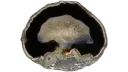 Lapidary Lounge banner