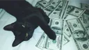 Unalom Van banner