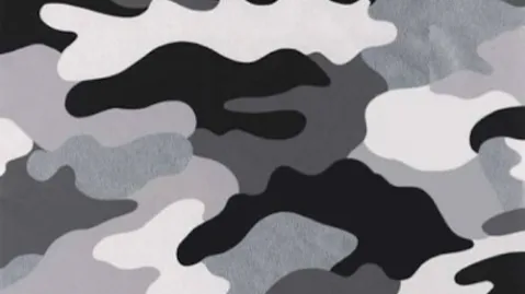 $kuds banner