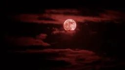 The Eclipse ♱ server banner