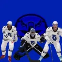 ITHL Bluehawks banner