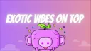 EXOTIC VIBES | 0.9k🥤 banner