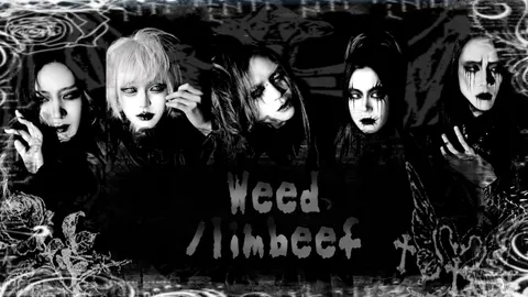 ᗯEEᗪ 🔪 : J2L=DIE : gg.limbeef banner