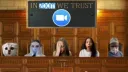 ZoomCourt banner