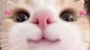 ˗ˏˋ macacos  ˎˊ˗ banner