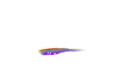 Mysticeti server banner