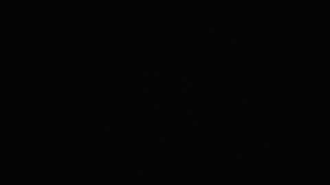 Swerrvants banner