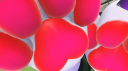 the paw zone server banner