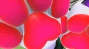 the paw zone Discord server banner