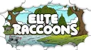 Elite Raccoons banner