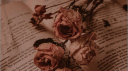 Books & Beyond 🌿 Discord server banner