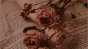 Books & Beyond 🌿 Discord server banner
