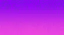 Amur banner