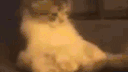 Tmy banner