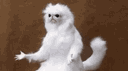 Актовый зал banner