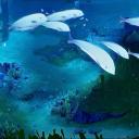 × :: ﹫Merusea Village 🫧 Banner