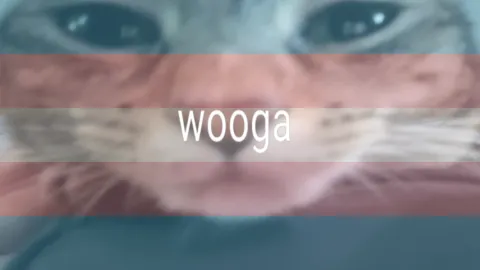 transing the internet banner