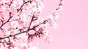 Blossombound Banner