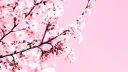 Blossombound Discord server banner