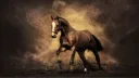 Naria SwAy’s Horses banner