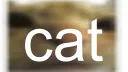 Cat Stand banner