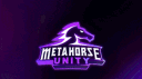 Metahorse Unity banner