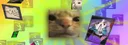 Cat Bot#9575 banner