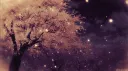 FIZA™ Server Banner