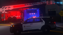 🦕 Los Angeles City Roleplay Banner