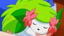 TheIslandProductions Banner