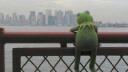 kermit's kingdom Banner