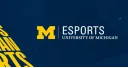 Michigan Esports banner