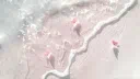 Vibe Aura server banner