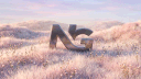 Network Graphics banner