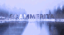 ANTI-SCAMMER ITA banner