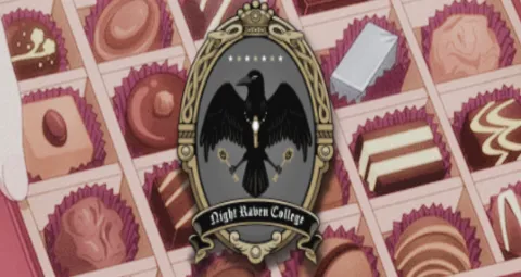 Night Raven College banner