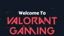 VALORANT Gaming LTP Banner