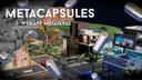 MetaCapsules Banner