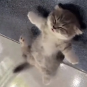 Niche city Discord server banner