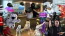 Quality Worldbuilding Discord server banner