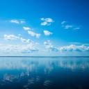 AOI‘S SCHIFF Banner