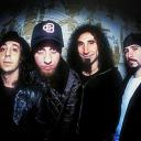 Terracotta Pie! Banner