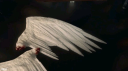 /Icarus Discord server banner
