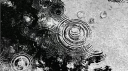 ˚ ₊ 🦢 —  Nhà của Thỏ．ᕬ ᕬ ₊ ˚ Discord server banner