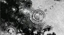🤍.Nhà của Thỏ . ಌ banner