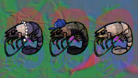 Shrimp Tank banner