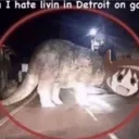 detroit banner